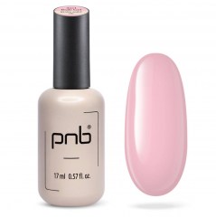 pnbbiabrm